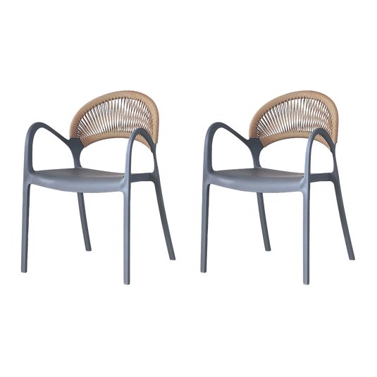 Set de 2 Sillas Daytona, Gris Oscuro y Café Claro, con Espaldar, Reposa Brazos y Diseño Minimalista