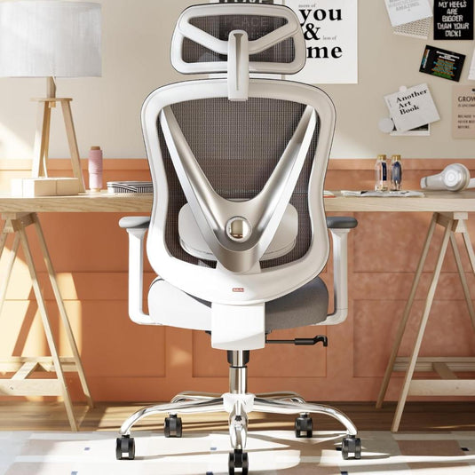 Silla De Oficina HOLLUDLE Blanco Ergonómica