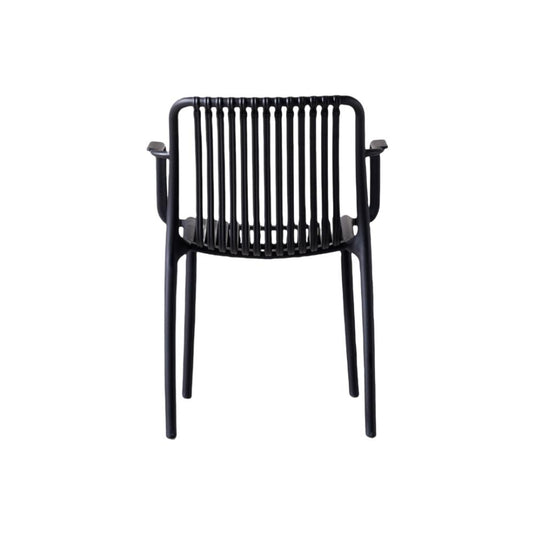 Silla Terra con Brazos, Color Negro, Con espaldar